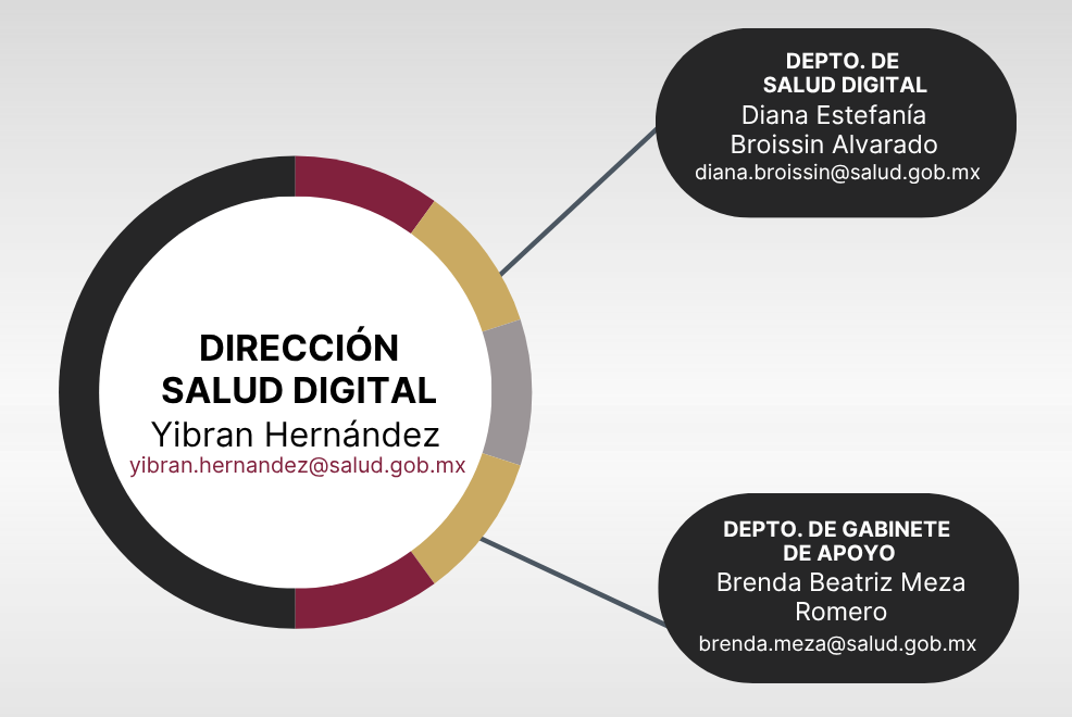 Organigrama Dirección de Salud Digital